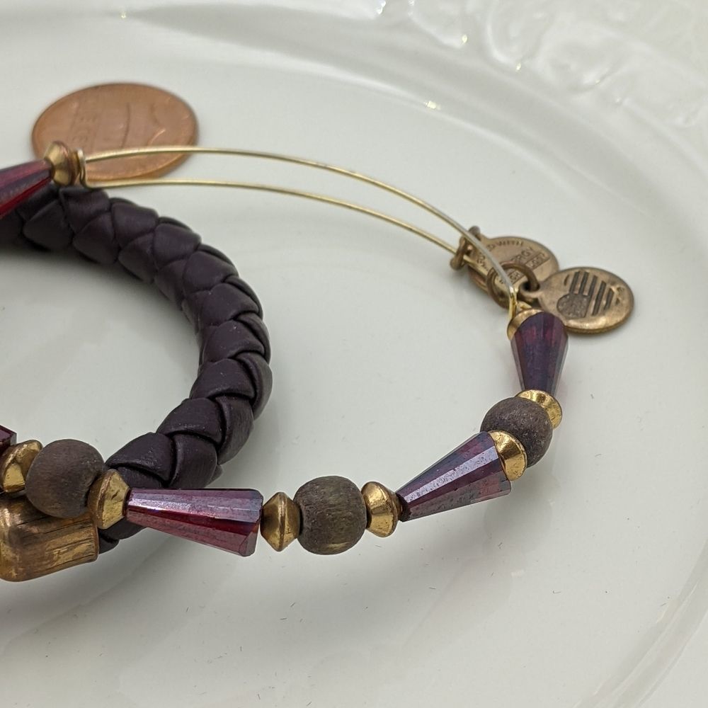 Alex and Ani Depths of the Wild 2 Bracelet Set - Picture 3 of 8